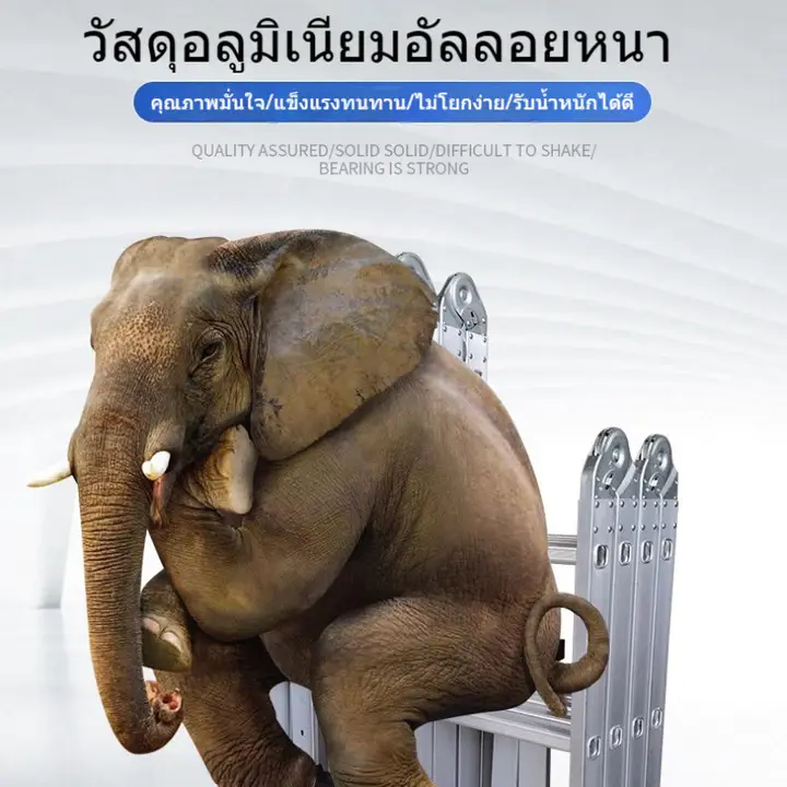 บันไดอเนกประสงค์  พับได้  บันได  อลูมิเนียมอัลลอย  บันได  วิศวกรรม  พกพา  บันไดข้อต่อ  บันไดยืดหด  บันไดตรง รูปที่ 3